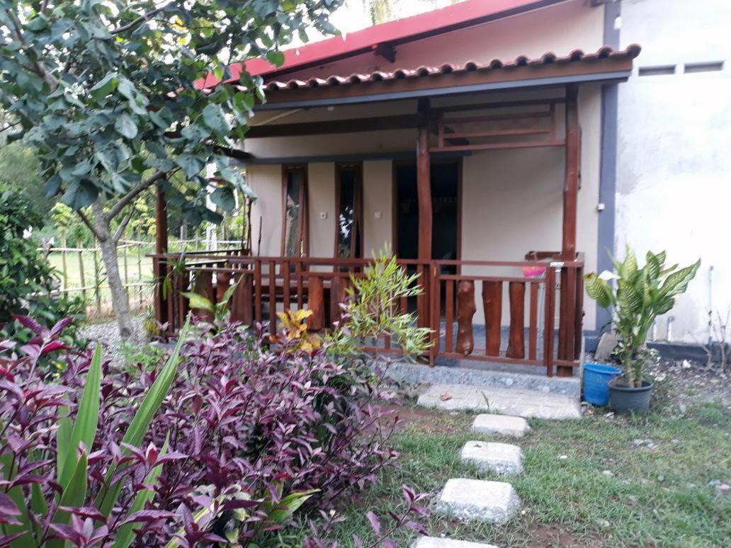 Red Island Bungalows Pasanggaran 객실 사진
