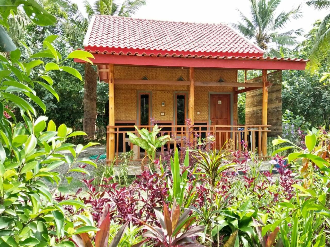 Red Island Bungalows Pasanggaran 객실 사진